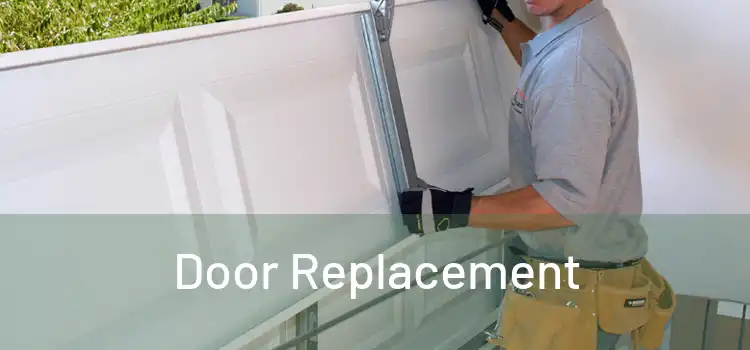  Door Replacement 