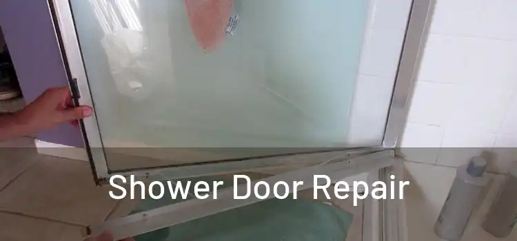  Shower Door Repair 